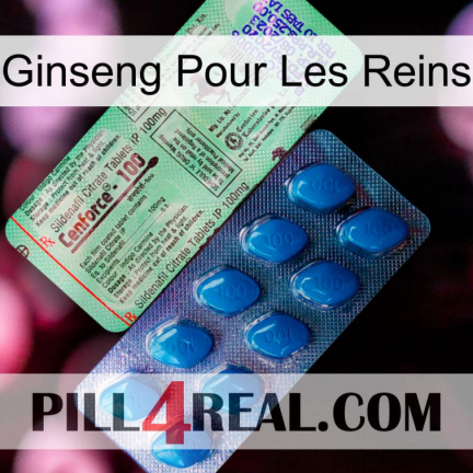 Ginseng For Kidney new02